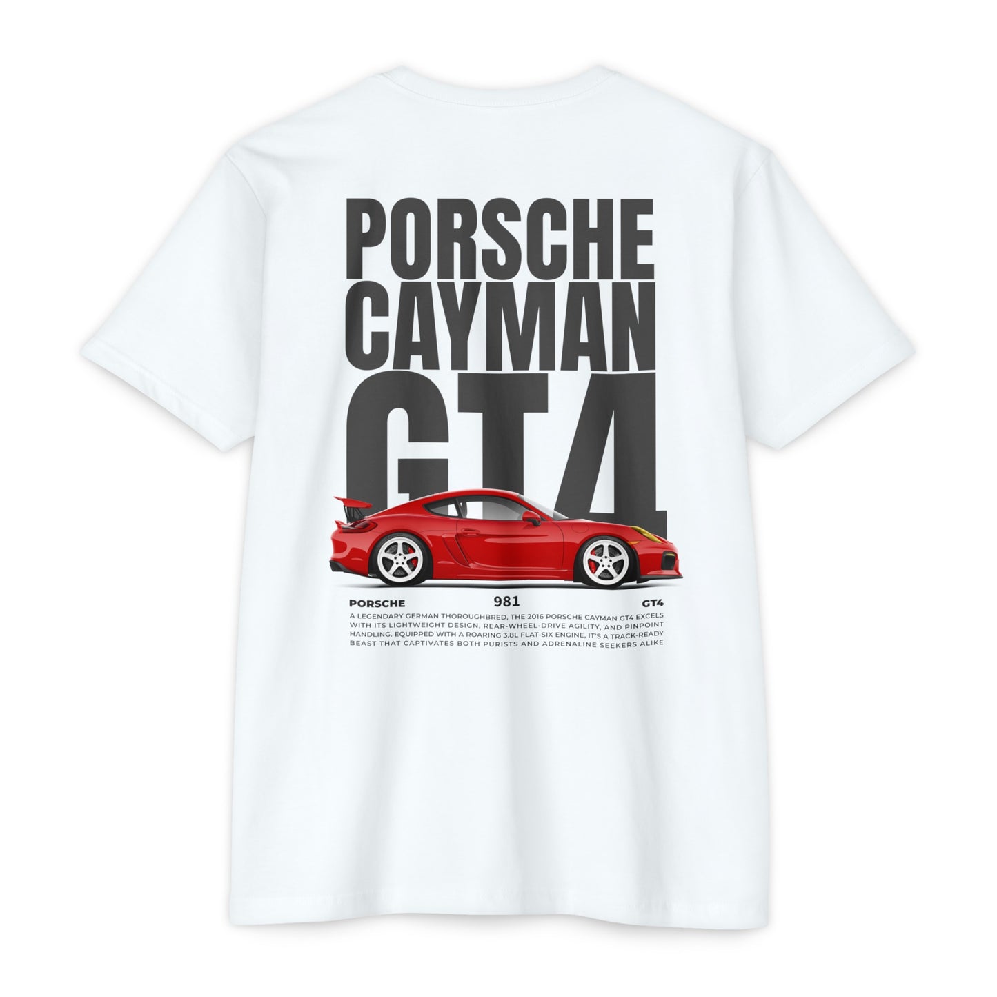 DC GT4 Custom advert shirt